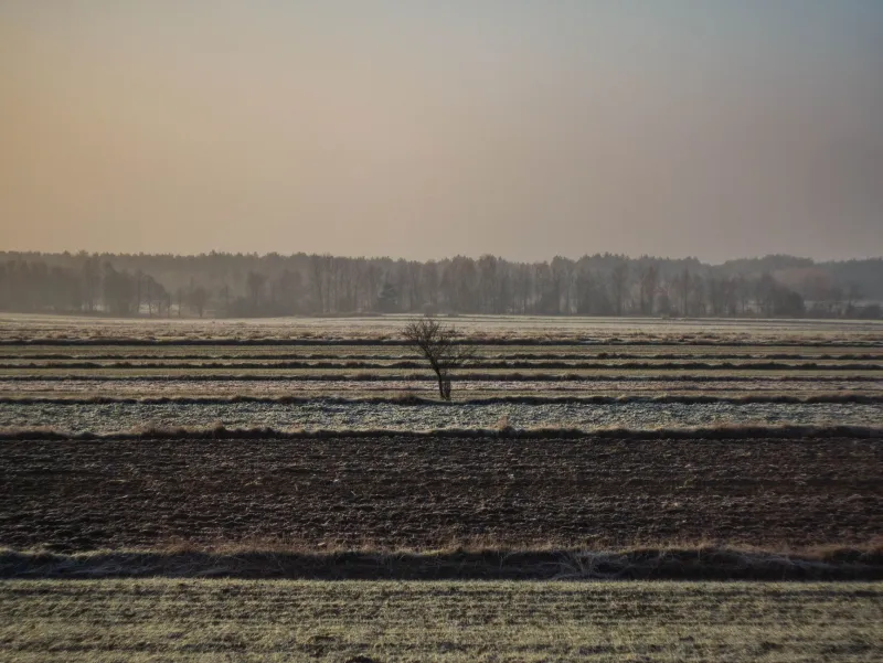 Let the Field Lie Fallow: The Case for a Planned Slowdown