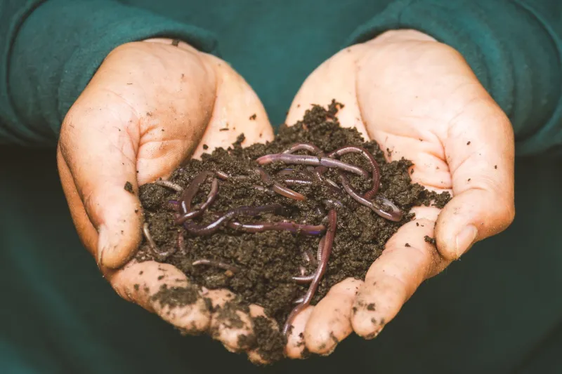 Dig Through the Heap: How to Turn Your Dead Startup Into Rocket Fuel