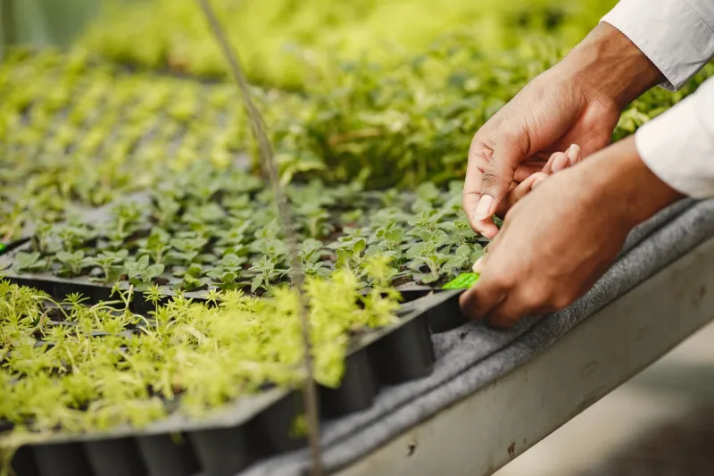 Your Startup Grows at the Speed of Your Relationships: A 90-Day Cultivation Plan