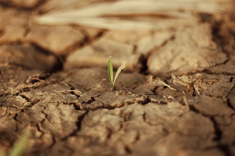 Bootstrapped Through the Freeze: 7 Moves That Kept Real Startups Alive When VCs Went Quiet