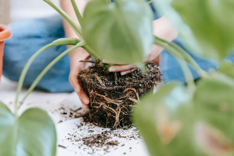 When the Pot Gets Tight: 5 Signals Your Startup Has Outgrown Its Original Idea